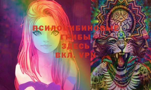 экстази Новодвинск