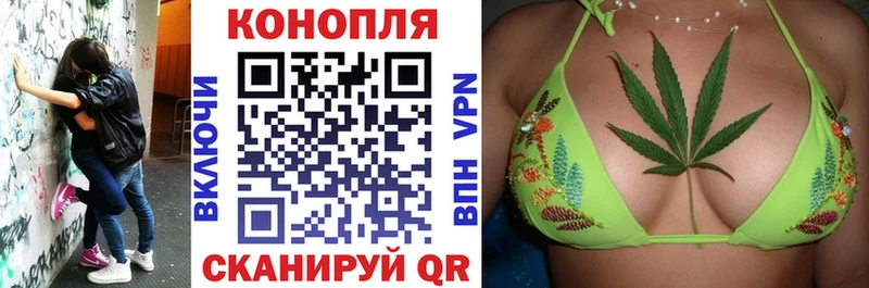 Конопля сатива  Купить закладки  Уссурийск 